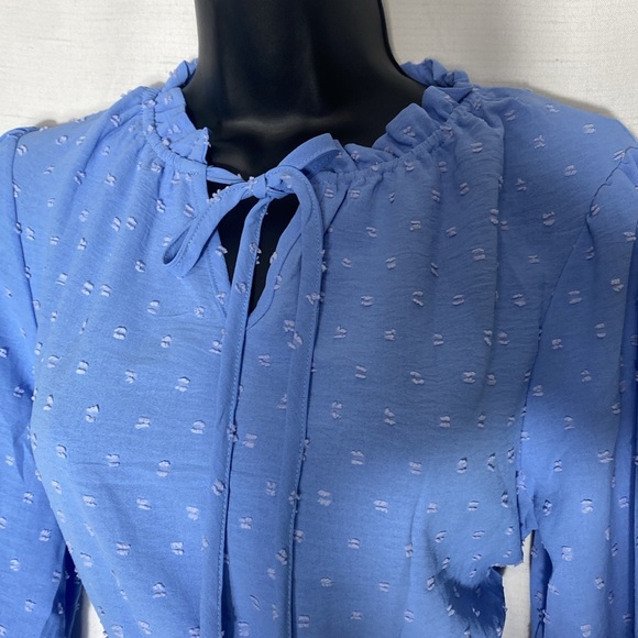 PRETTYGARDEN Fall Long Sleeve V Neck Swiss Dot Pleated A Line Flowy Dresses - Picture 7 of 11